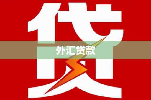 威海外汇贷款