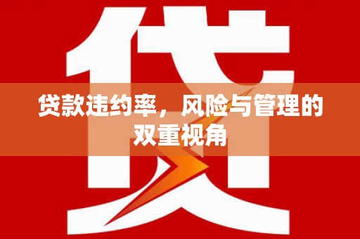 威海贷款违约率，风险与管理的双重视角
