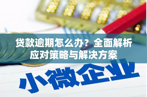 威海贷款逾期怎么办？全面解析应对策略与解决方案