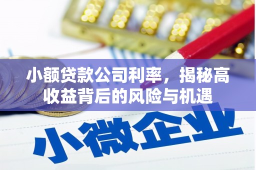 威海小额贷款公司利率，揭秘高收益背后的风险与机遇