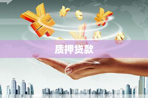 威海质押贷款