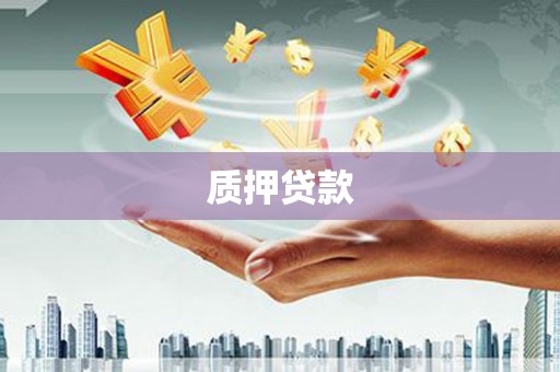 威海质押贷款