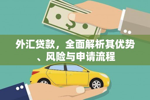 威海外汇贷款，全面解析其优势、风险与申请流程