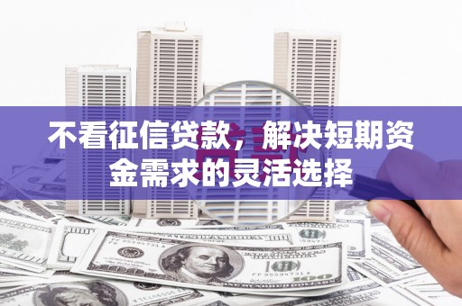 威海不看征信贷款，解决短期资金需求的灵活选择