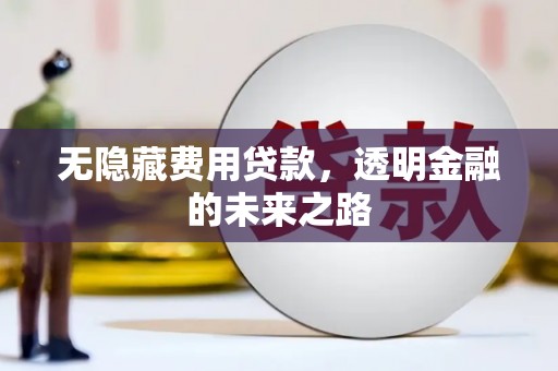 威海无隐藏费用贷款，透明金融的未来之路