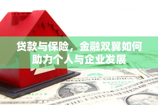 威海贷款与保险，金融双翼如何助力个人与企业发展