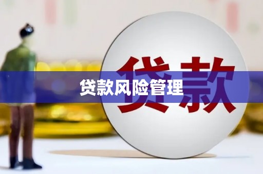 威海贷款风险管理