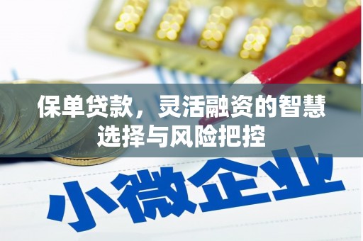 威海保单贷款，灵活融资的智慧选择与风险把控