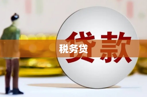 威海税务贷