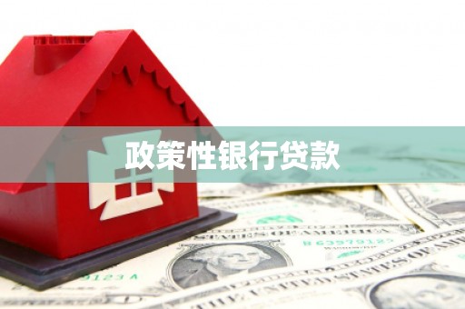 威海政策性银行贷款