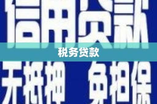 威海税务贷款