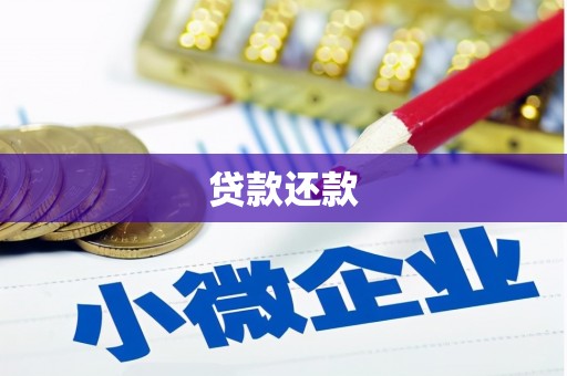 威海贷款还款