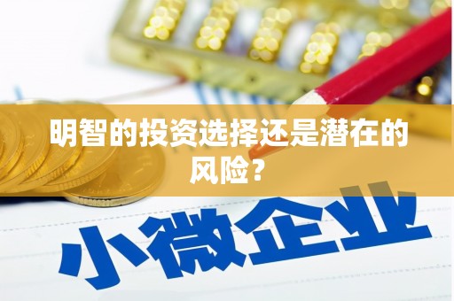 威海明智的投资选择还是潜在的风险？