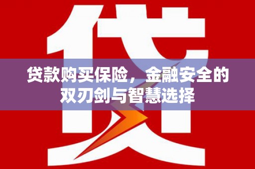 威海贷款购买保险，金融安全的双刃剑与智慧选择