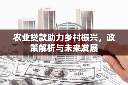 威海农业贷款助力乡村振兴，政策解析与未来发展