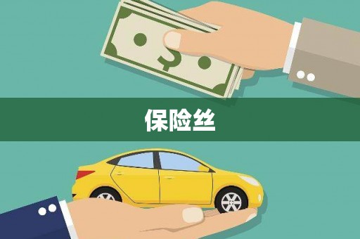 威海保险丝