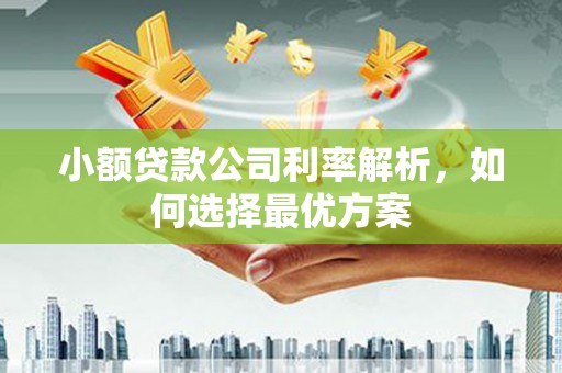 威海小额贷款公司利率解析，如何选择最优方案