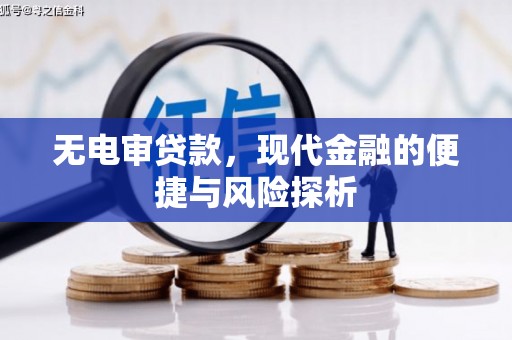 威海无电审贷款，现代金融的便捷与风险探析