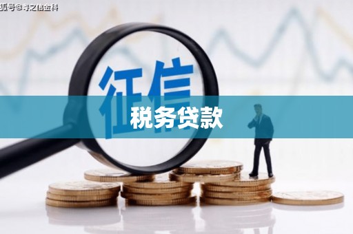 威海税务贷款