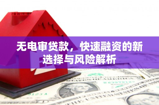 威海无电审贷款，快速融资的新选择与风险解析