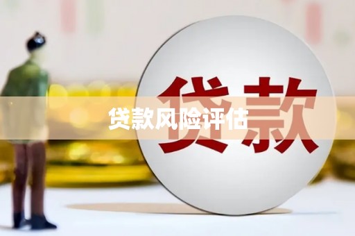 威海贷款风险评估