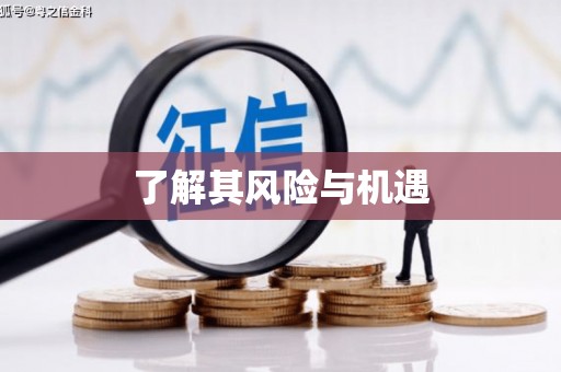 威海了解其风险与机遇