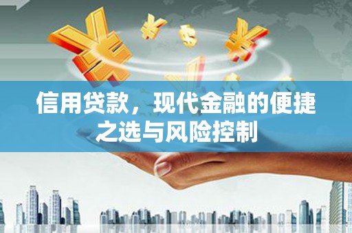 威海信用贷款，现代金融的便捷之选与风险控制