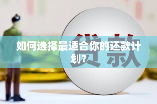 威海如何选择最适合你的还款计划？