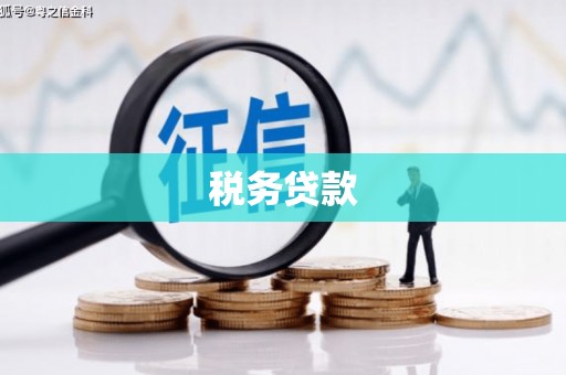 威海税务贷款