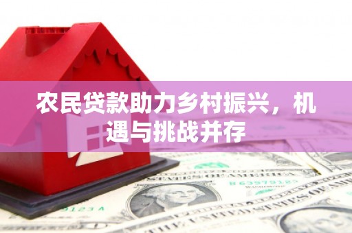 威海农民贷款助力乡村振兴，机遇与挑战并存