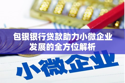 威海包银银行贷款助力小微企业发展的全方位解析