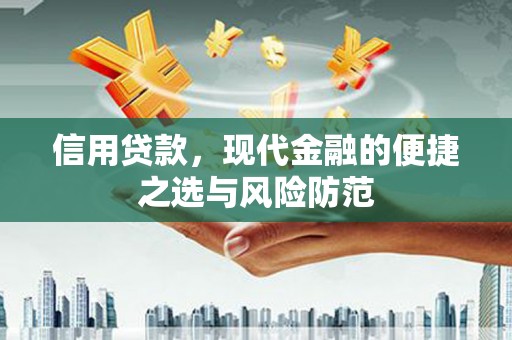 威海信用贷款，现代金融的便捷之选与风险防范