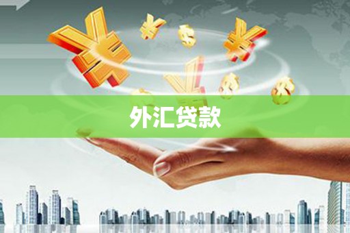威海外汇贷款
