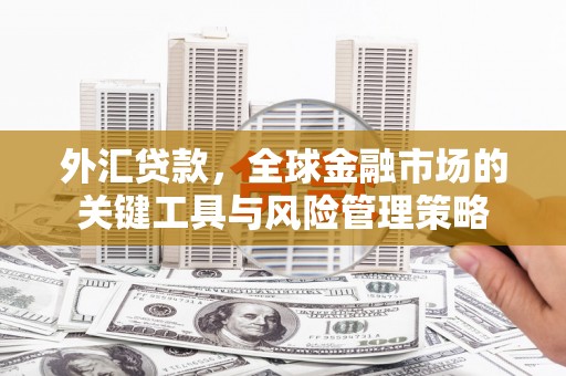 威海外汇贷款，全球金融市场的关键工具与风险管理策略