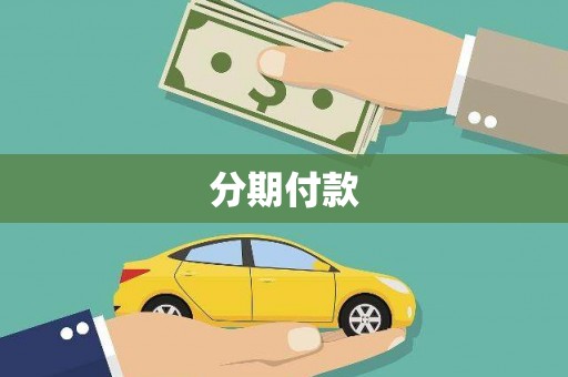 威海分期付款