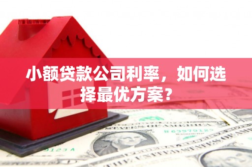 威海小额贷款公司利率，如何选择最优方案？