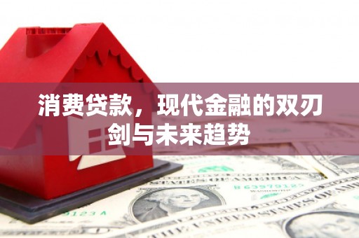 威海消费贷款，现代金融的双刃剑与未来趋势