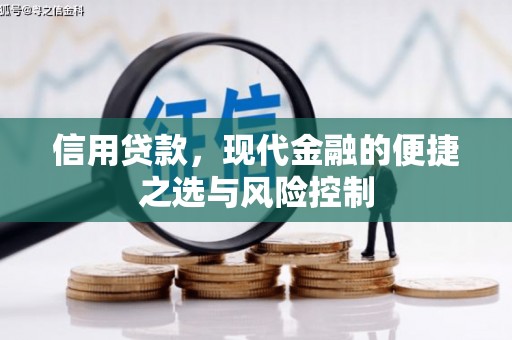 威海信用贷款，现代金融的便捷之选与风险控制