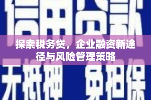 威海探索税务贷，企业融资新途径与风险管理策略