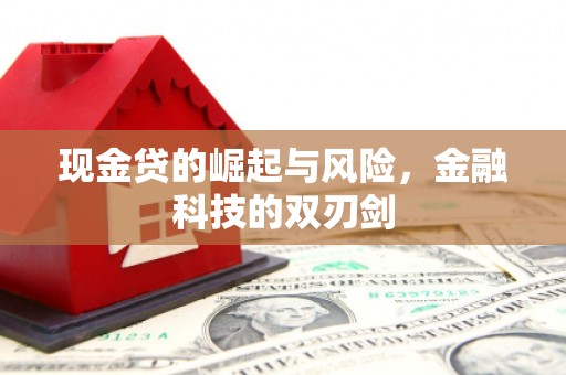 威海现金贷的崛起与风险，金融科技的双刃剑