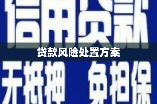 威海贷款风险处置方案