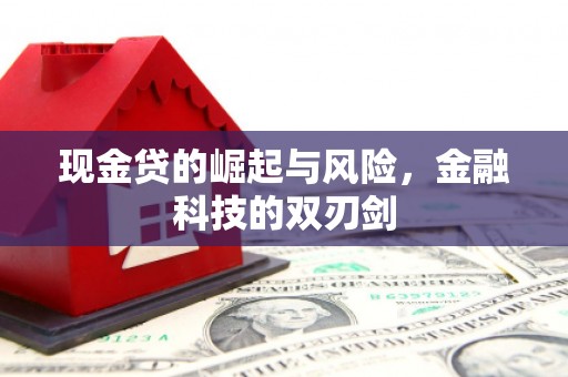 威海现金贷的崛起与风险，金融科技的双刃剑