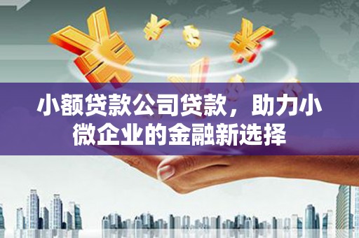 威海小额贷款公司贷款，助力小微企业的金融新选择