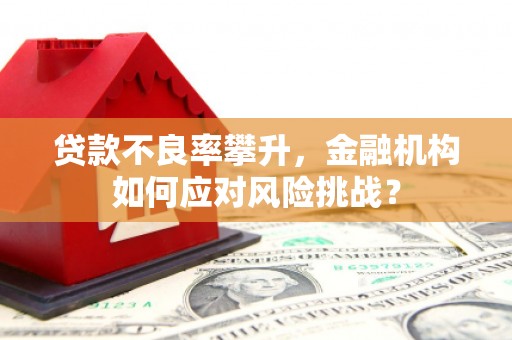 威海贷款不良率攀升，金融机构如何应对风险挑战？