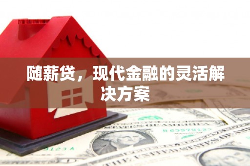 威海随薪贷，现代金融的灵活解决方案