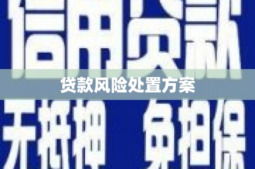 威海贷款风险处置方案