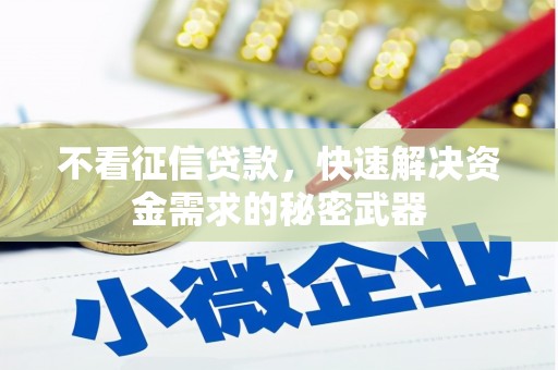 威海不看征信贷款，快速解决资金需求的秘密武器
