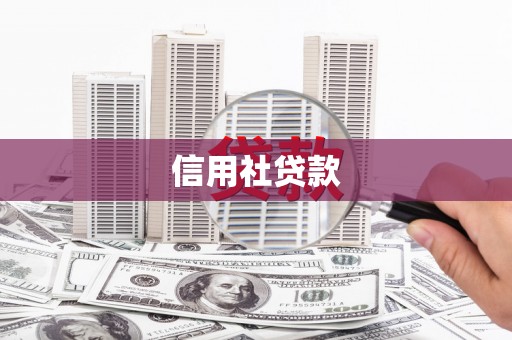 威海信用社贷款
