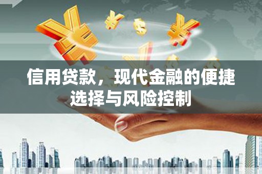 威海信用贷款，现代金融的便捷选择与风险控制