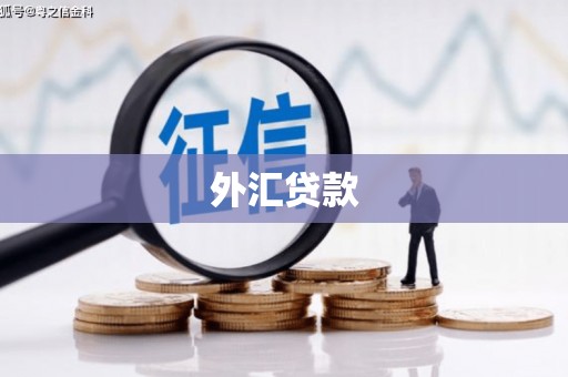 威海外汇贷款